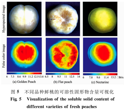 高光譜影像的鮮桃可溶性固形物含量預(yù)測模型