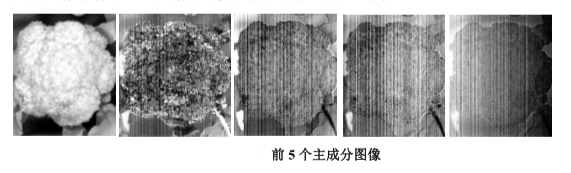 圖片6.png