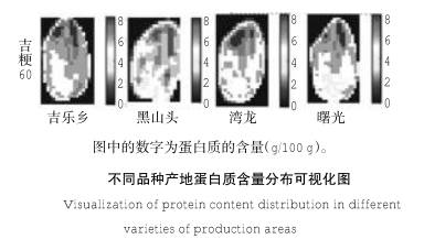 圖片5.png