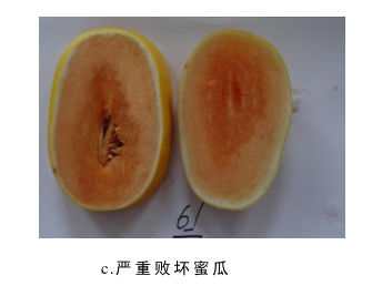 圖片3.png