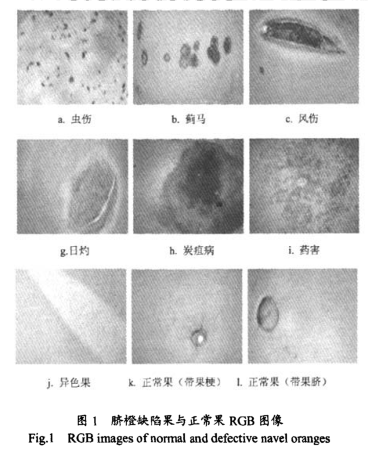 圖片3.png