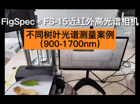 FS15-測樹葉