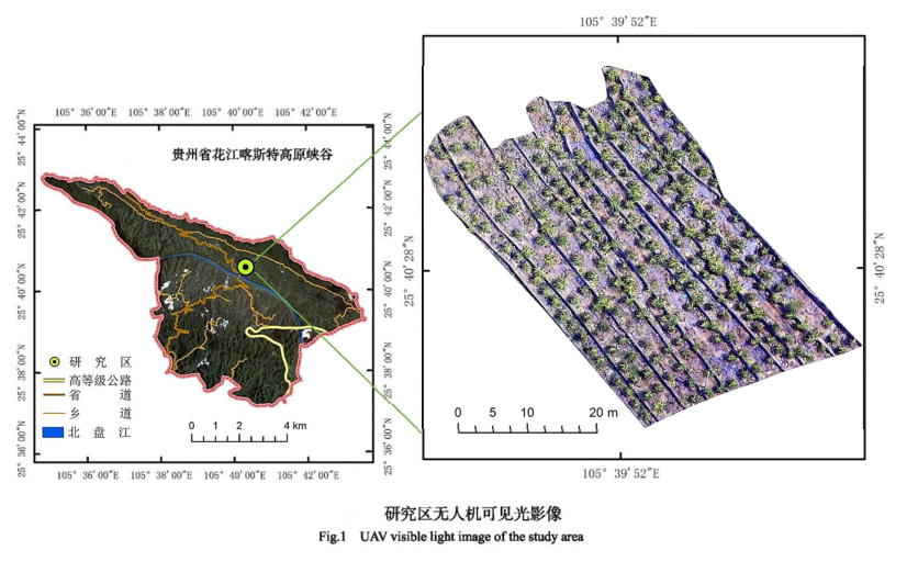 圖片1.png