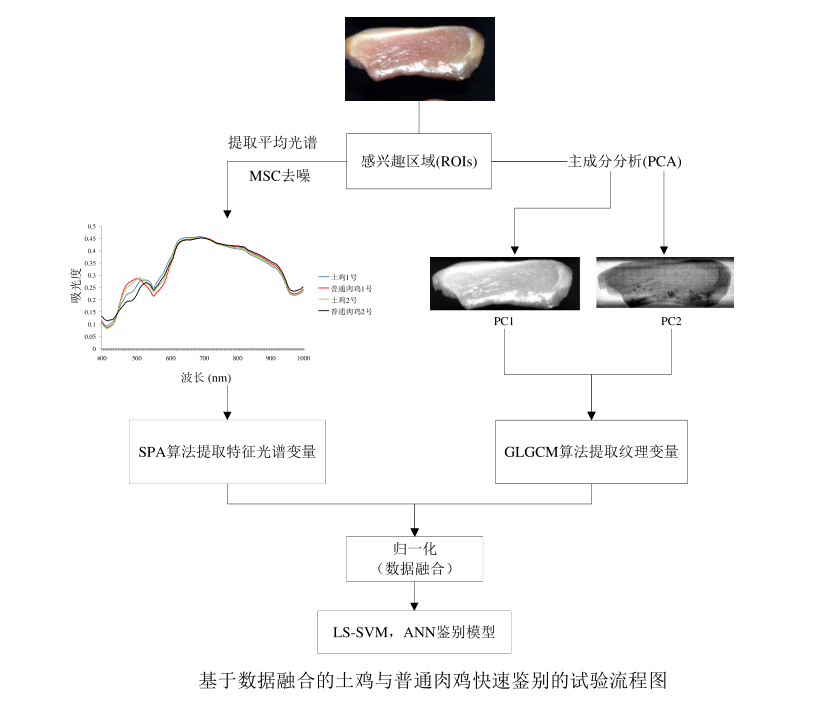 圖片2.png