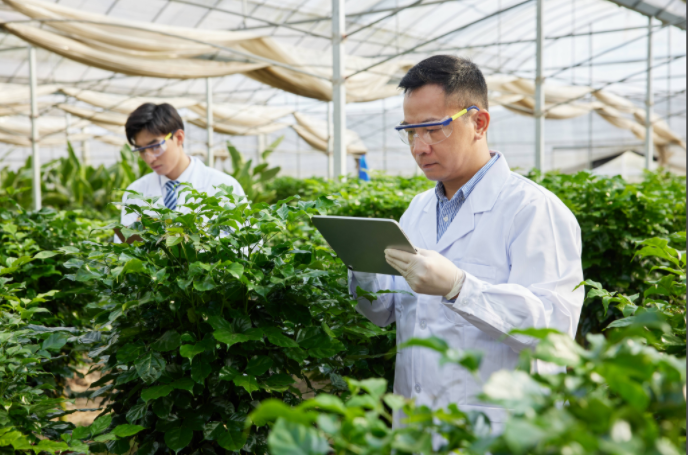 植物表型高光譜相機哪家好？