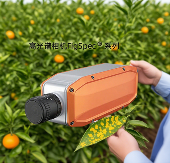 1753772706751345.png image.png